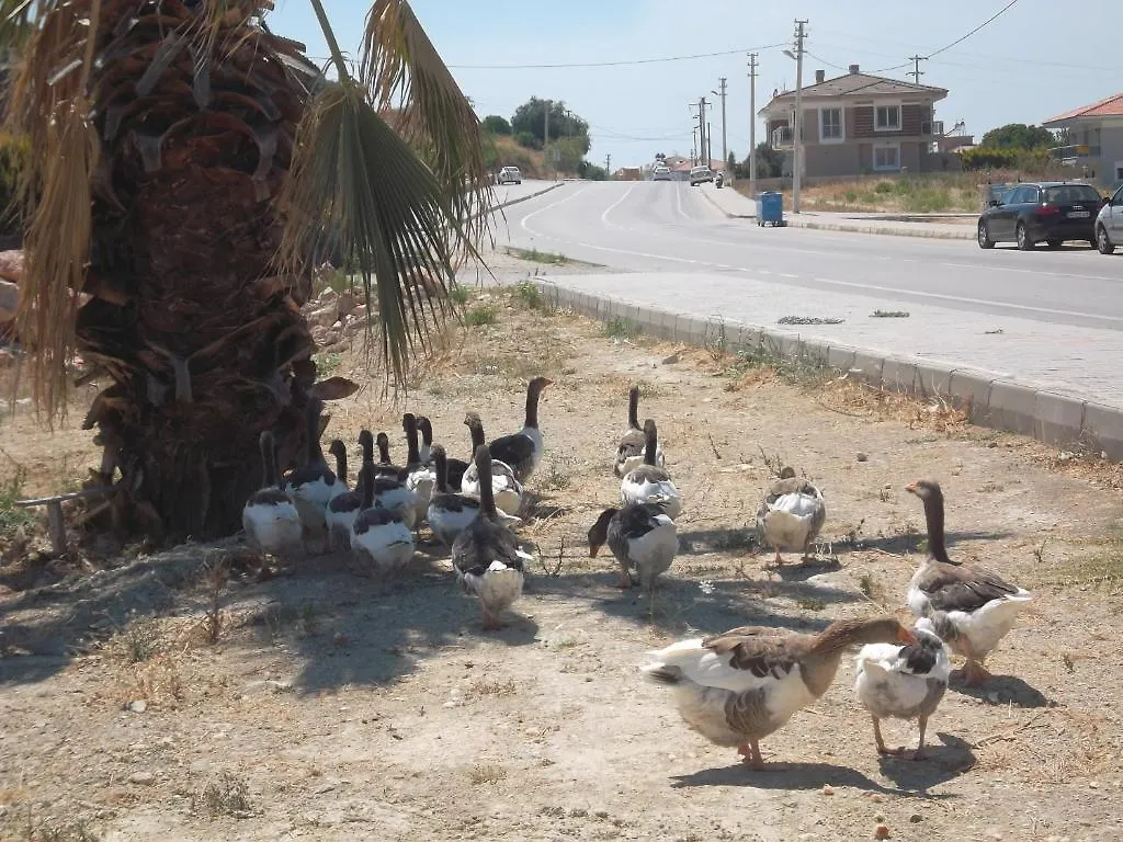 Godik Apart Hotel Çeşme 0*,  Turchia